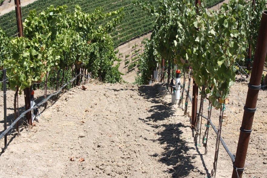 Texas Rd, Paso Robles, CA for sale - Building Photo - Image 3 of 9