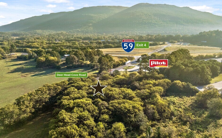 0 Deer Head Cove Road, Rising Fawn, GA à vendre - Aérien - Image 3 de 17