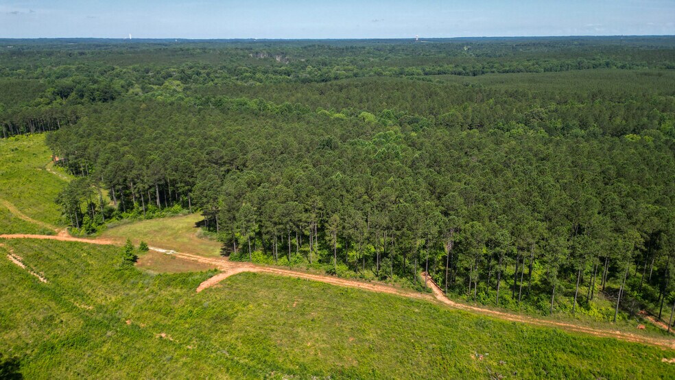 NPA, Abbeville, SC à vendre - Photo du bâtiment - Image 2 de 7