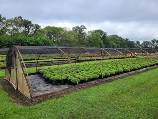 More details for 1242 Minter ln, Walkerton, VA - Land for Sale