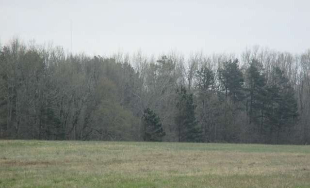 4435 Ridge Rd, Buford, GA à vendre - Photo du bâtiment - Image 2 de 12