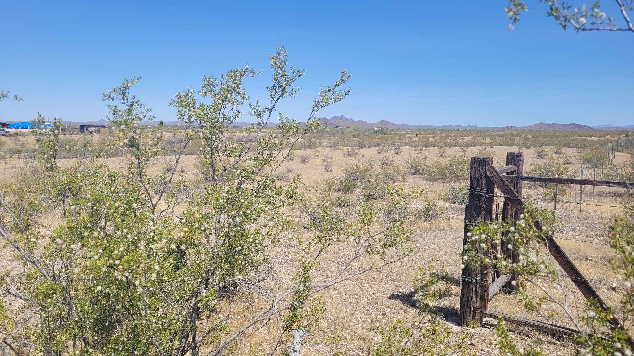 300XX W Radford Rd, Wittmann, AZ for sale Primary Photo- Image 1 of 16