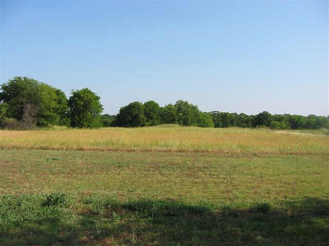 12302 FM 121, Van Alstyne, TX à louer - Autre - Image 2 de 8