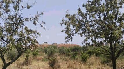 Carrer Carles Salvador, BENICÀSSIM, Castellón à vendre - Photo du bâtiment - Image 3 de 3
