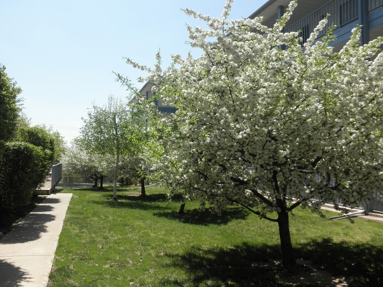 360 Schaefer Dr, Branson, MO à vendre - Photo du bâtiment - Image 3 de 13