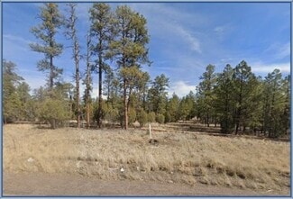 More details for 4900 Arizona 260, Lakeside, AZ - Land for Sale