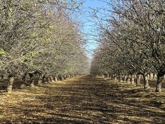 Plus de détails pour Fairfax Ave and Jensen ave, Firebaugh, CA - Terrain à vendre