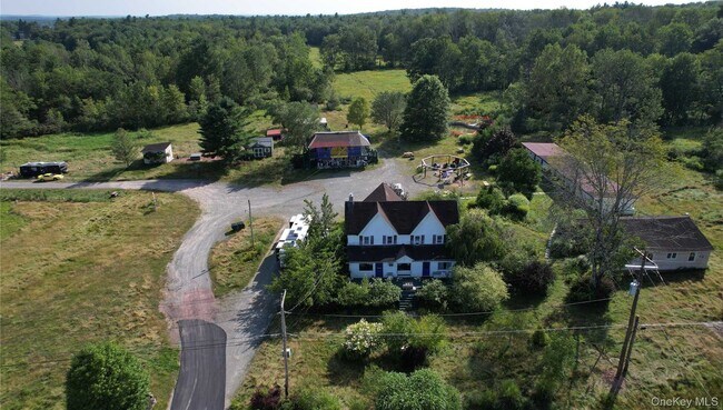 Plus de détails pour 1166 County 114 Rt, Cochecton, NY - Services hôteliers à vendre