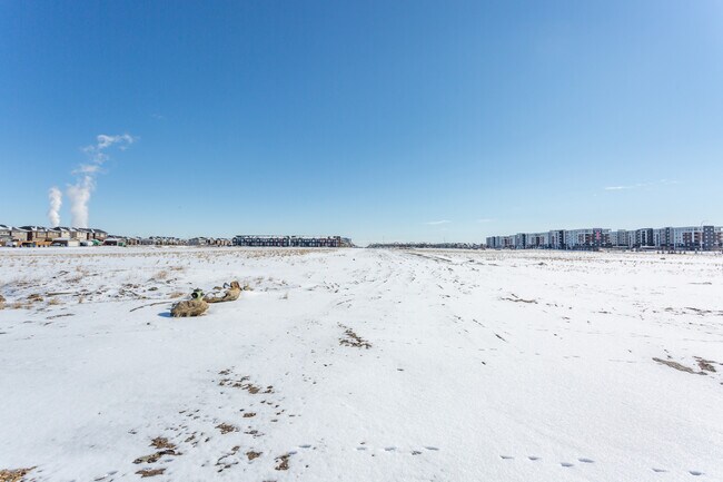Plus de détails pour 106 Redstone St NE, Calgary, AB - Commerce de détail à louer