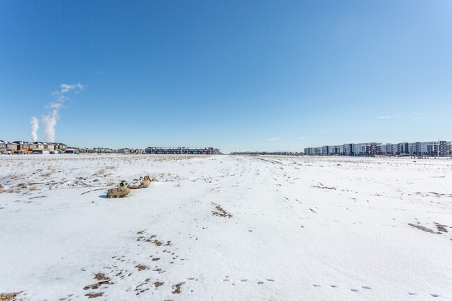 More details for 106 Redstone St NE, Calgary, AB - Retail for Lease