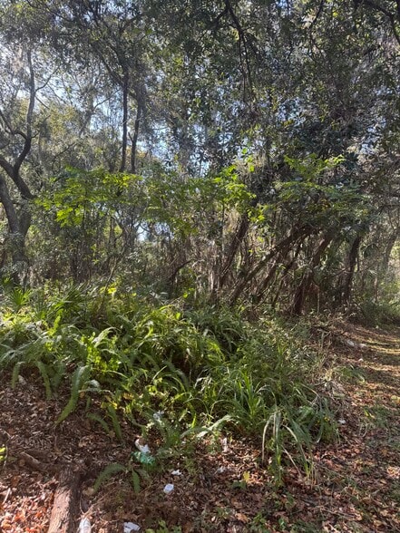 Franklin St, Oviedo, FL for sale - Building Photo - Image 2 of 6