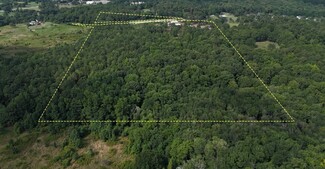 More details for 223 Whitley Rd, Bethlehem, GA - Land for Sale