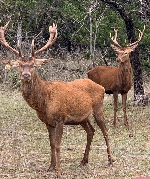 TBD 281 Hwy, Lampasas, TX for sale - Building Photo - Image 2 of 22