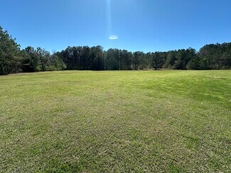 Plus de détails pour 39360 US Highway 280, Oak Grove, AL - Terrain à louer