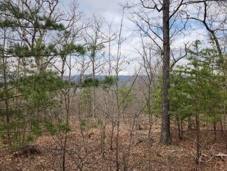 More details for 0 Vintage Ln, Winchester, VA - Land for Sale