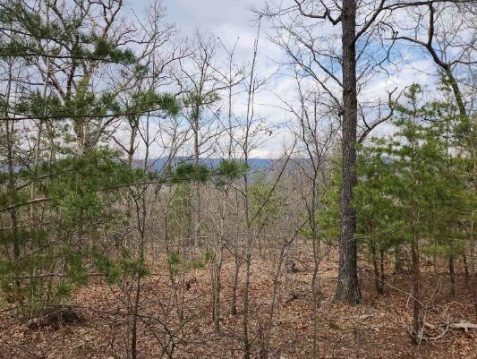 0 Vintage Ln, Winchester, VA for sale Aerial- Image 1 of 2