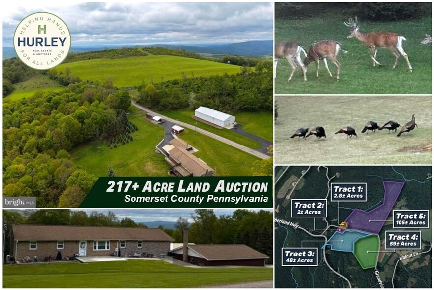 230 Grandview Dr, Hyndman, PA for sale - Building Photo - Image 1 of 20