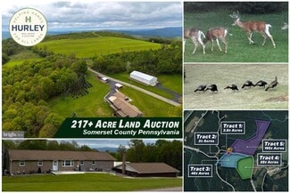 Plus de détails pour 230 Grandview Dr, Hyndman, PA - Terrain à vendre