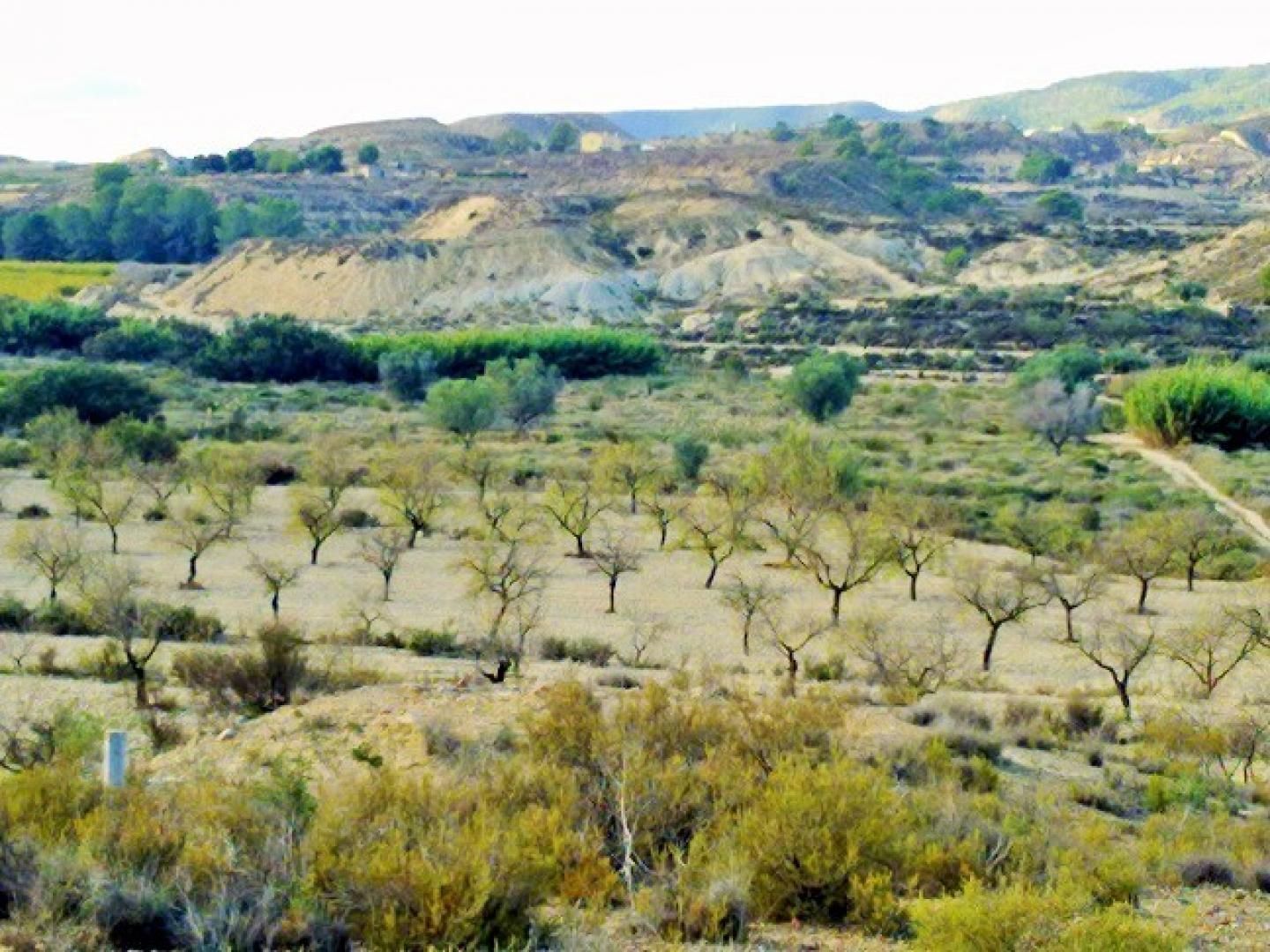 Terrain dans Murcia, Murcia à vendre Aérien- Image 1 de 9