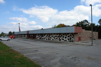 Plus de détails pour 11210-11220 Outlet Dr, Knoxville, TN - Commerce de détail à louer