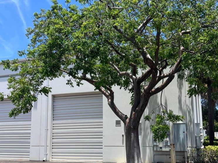 2721 NW 19th St, Pompano Beach, FL for sale - Building Photo - Image 1 of 5