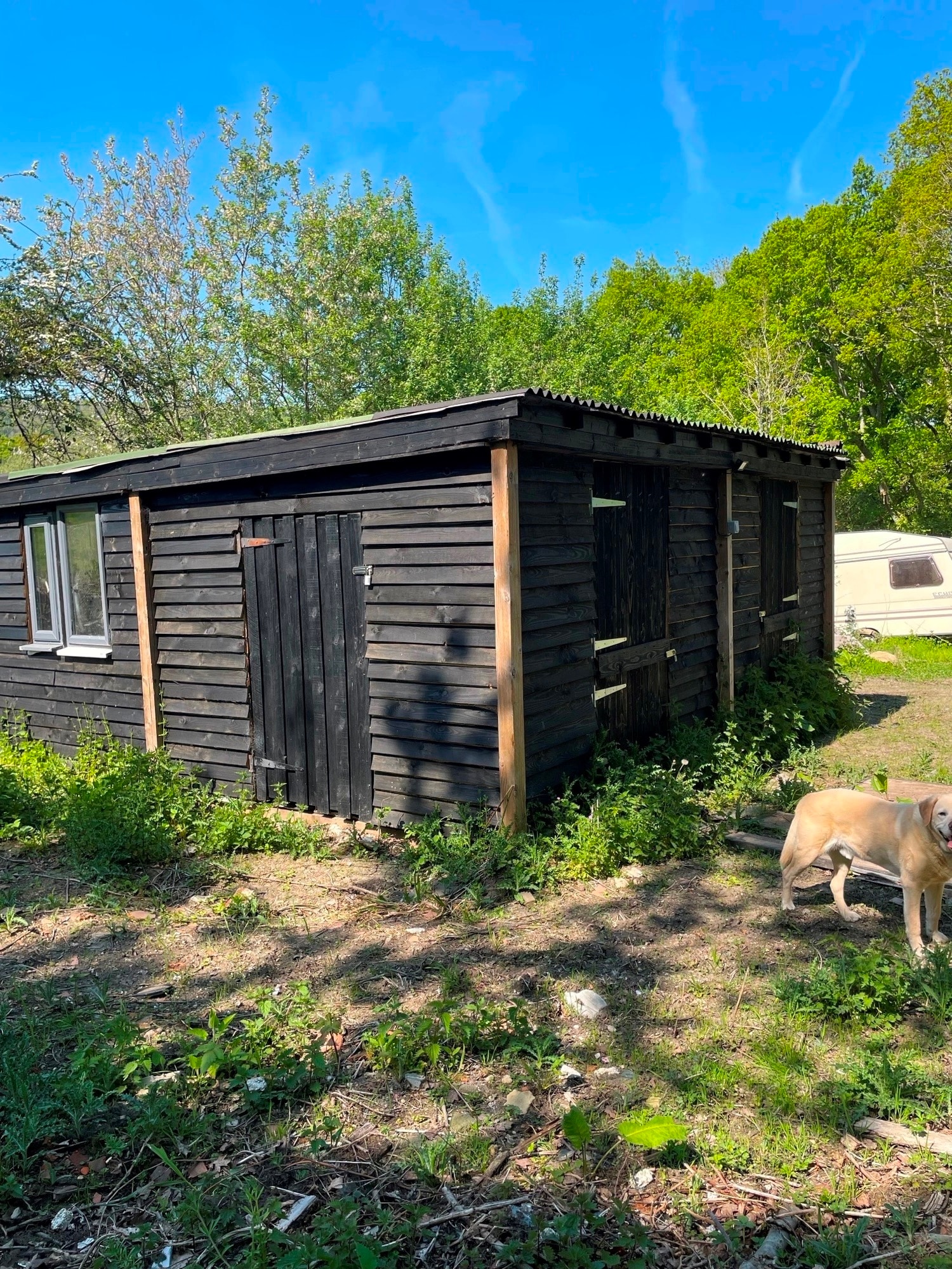 Lythe Lane Stroud, Petersfield for lease Primary Photo- Image 1 of 6