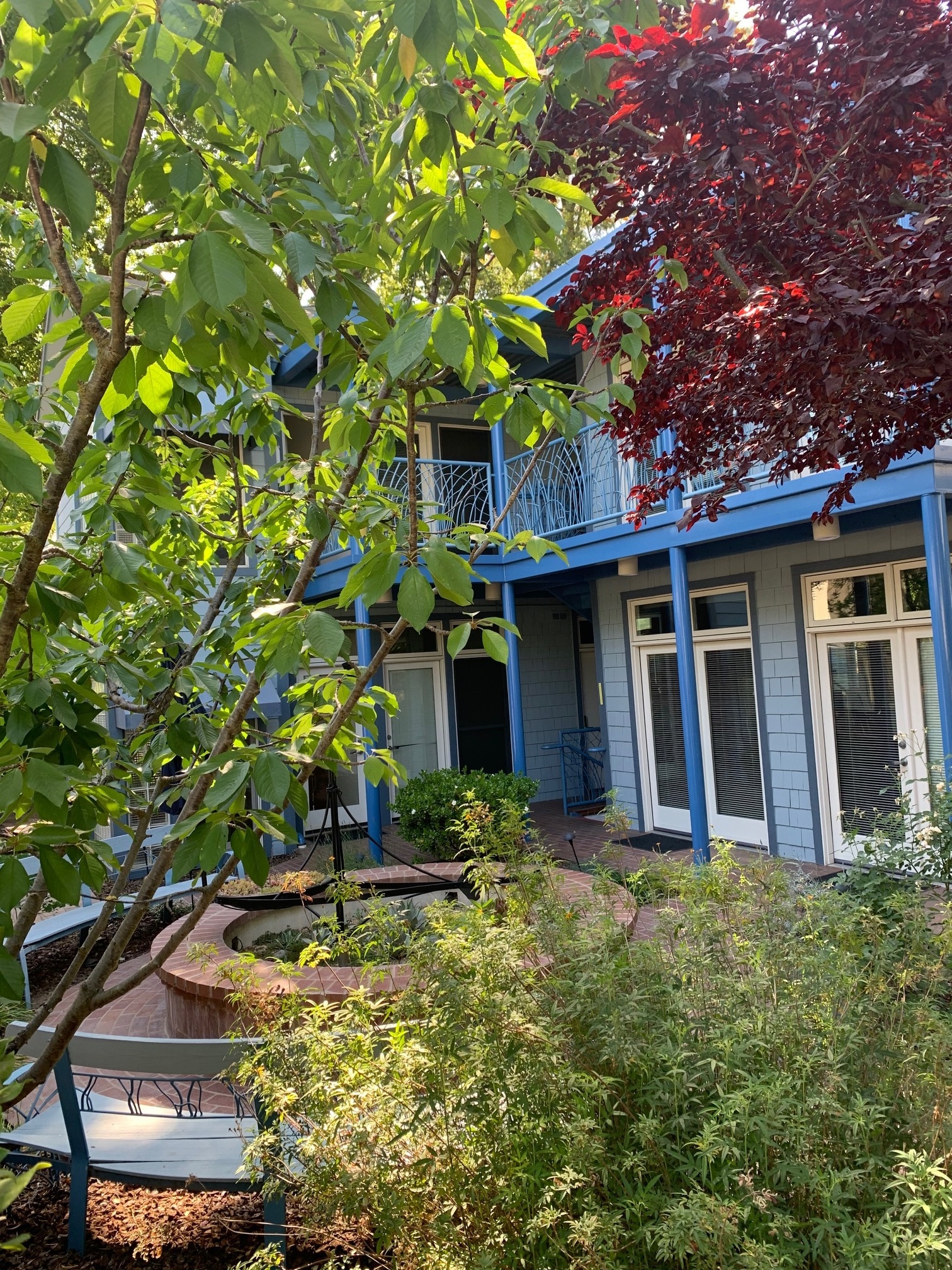 430-432 D St, Davis, CA for lease Building Photo- Image 1 of 7