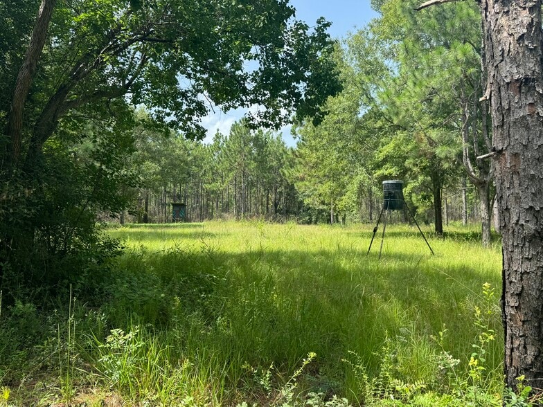 0 Nokomis Road, Walnut Hill, FL for sale - Primary Photo - Image 1 of 51