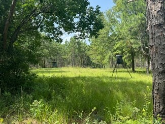 More details for 0 Nokomis Road, Walnut Hill, FL - Land for Sale