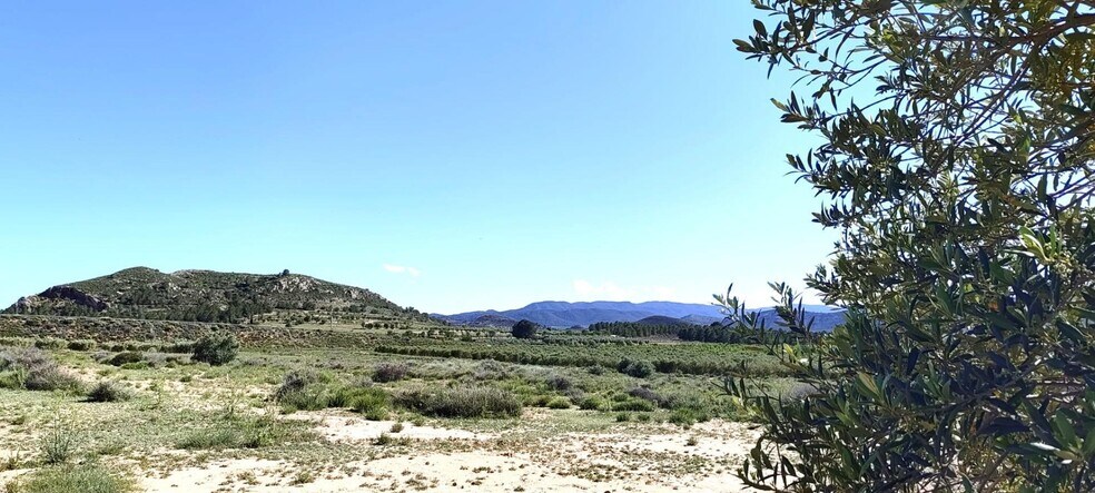 Terrain dans Villena, Alicante à vendre - Aérien - Image 3 de 4