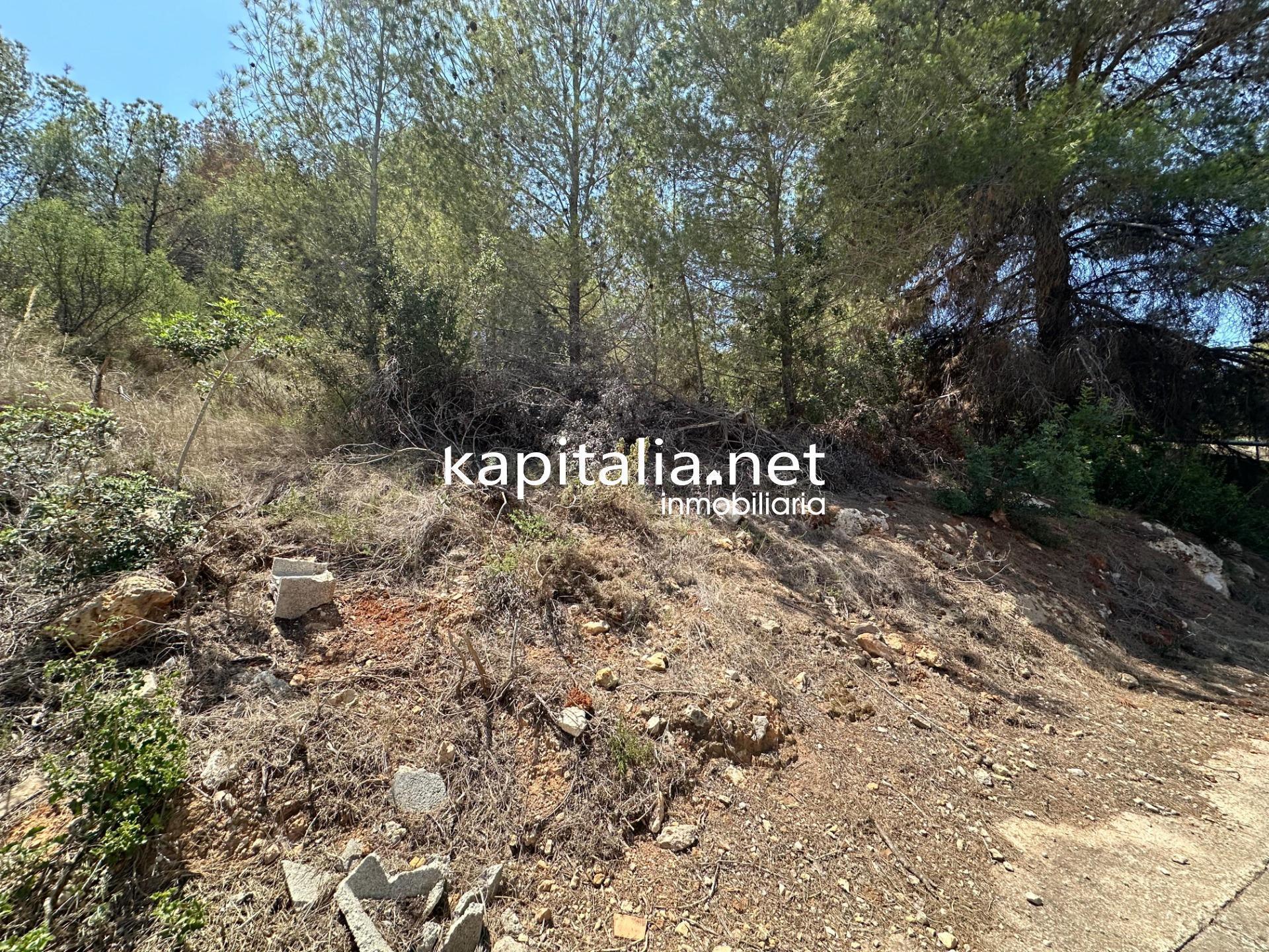 Land in Alberic, Valencia for sale Primary Photo- Image 1 of 6