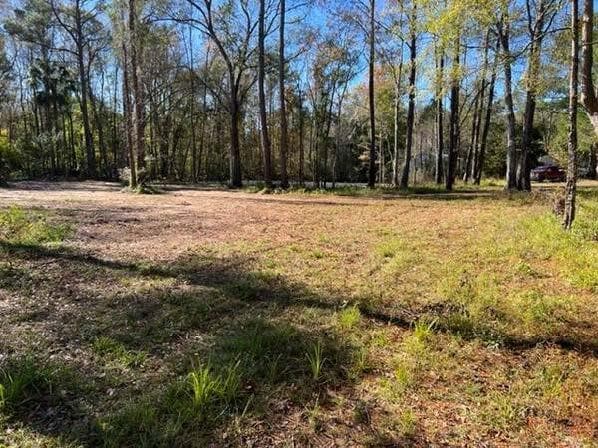 169 Hutchinson Rd, Jacksonville, FL à vendre - Photo du bâtiment - Image 3 de 3