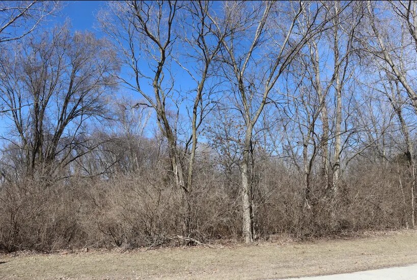 35 Birchwood Ln, Saint Anne, IL à vendre Photo principale- Image 1 de 1