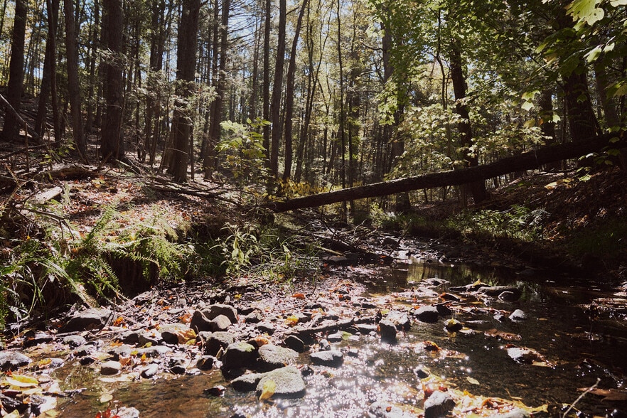 1296 Flatbush Rd, Kingston, NY for sale - Building Photo - Image 2 of 13