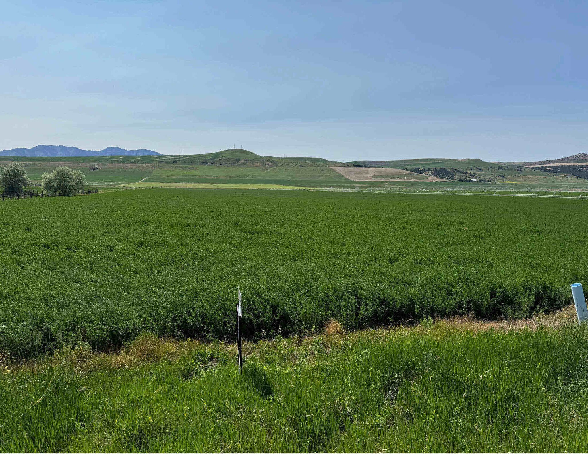 1225 4800 Hwy, Trenton, UT à vendre Photo principale- Image 1 de 3