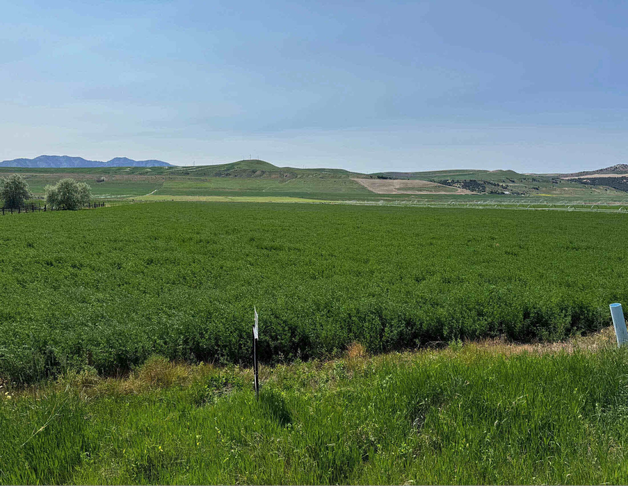 1225 4800 Hwy, Trenton, UT for sale Primary Photo- Image 1 of 3