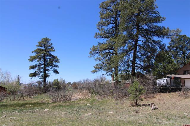 685 Caddy cir, Pagosa Springs, CO à vendre - Photo du bâtiment - Image 3 de 4
