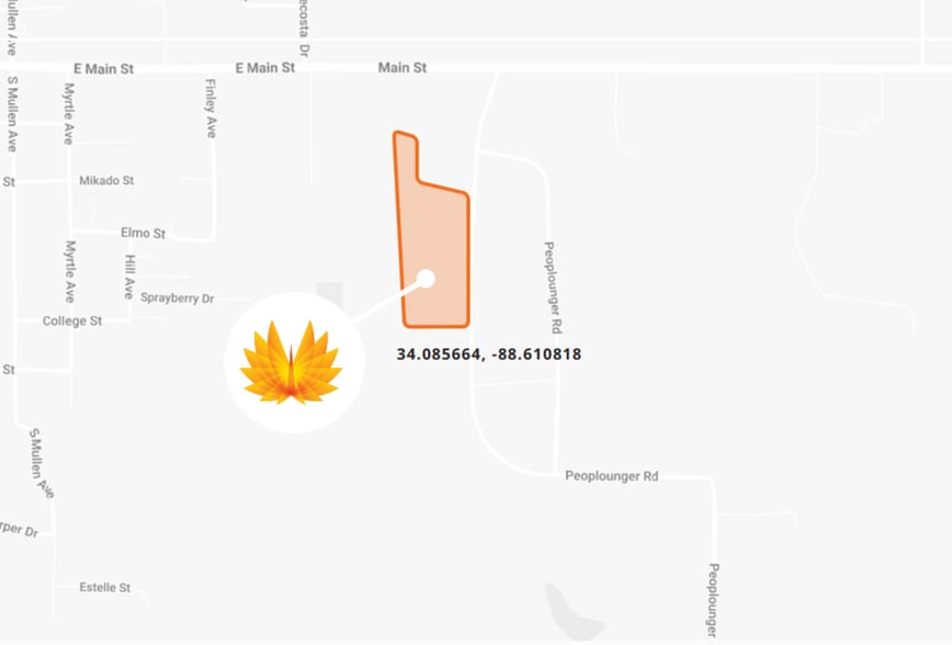 Peoplelounger Rd, Nettleton, MS for sale - Building Photo - Image 2 of 2