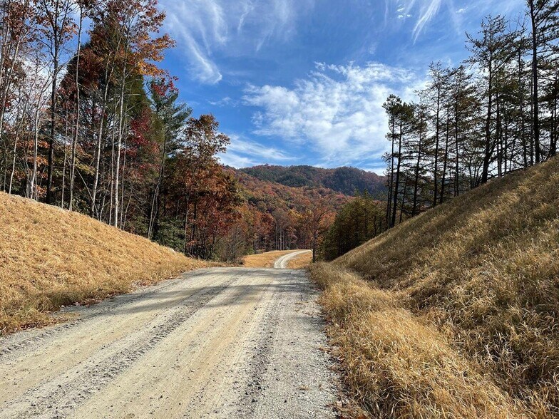 111 Butler Mountain Rd, Murphy, NC à vendre - Photo du bâtiment - Image 2 de 8