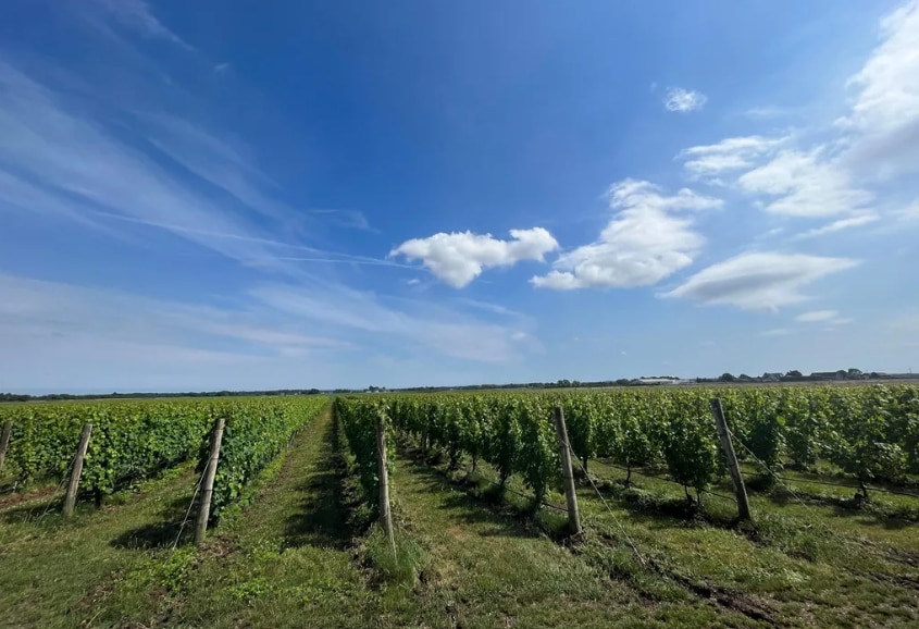 6094 Sound Ave, Jamesport, NY à vendre - Photo principale - Image 1 de 4