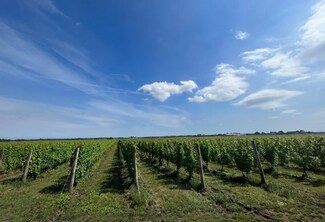 Plus de détails pour 6094 Sound Ave, Jamesport, NY - Terrain à vendre