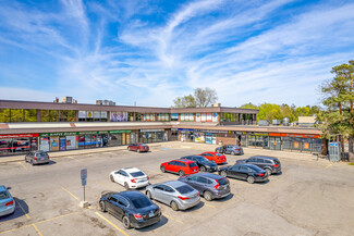 More details for 4218 Lawrence Ave, Toronto, ON - Office, Retail for Lease