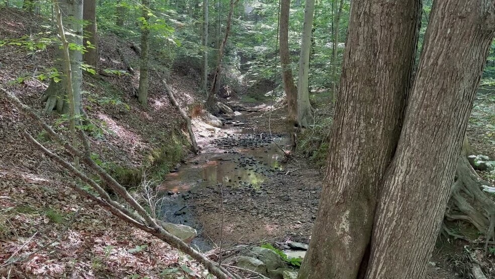 400 Eden Church rd, Madison, NC for sale - Commercial Listing Video - Image 3 of 38