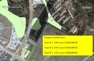 Plus de détails pour 1346 Whittaker Parkway, Orangeburg, SC - Terrain à vendre