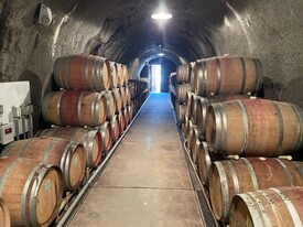 Twisted Oak Winery - Vignoble