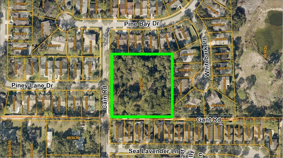 6501 Gant Rd, Tampa, FL à vendre - Aérien - Image 3 de 25