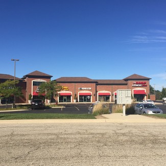 More details for 850 Tower Dr, Lake Villa, IL - Retail for Sale