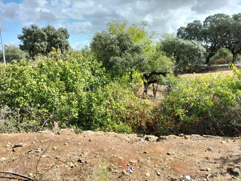 Land in Córdoba, Córdoba for sale - Building Photo - Image 2 of 16