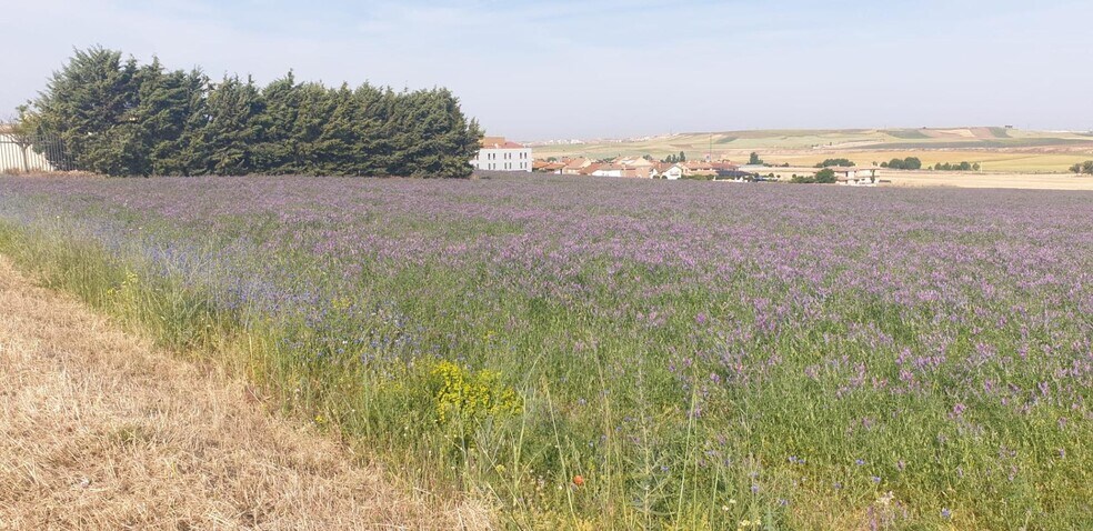 Teso, 24, Cabrerizos, Salamanca à louer - Photo du bâtiment - Image 1 de 12