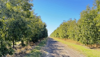 Plus de détails pour Mimbres Valley Development, Deming, NM - Terrain à vendre